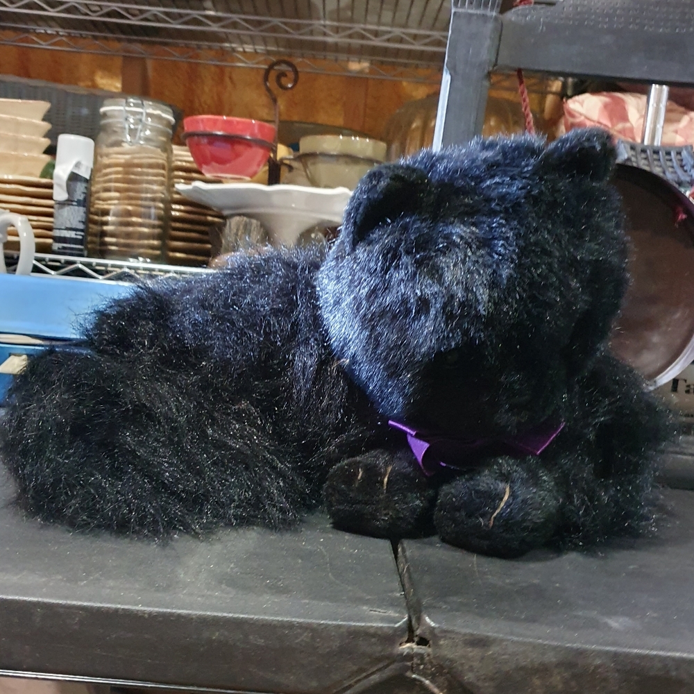 💜 COPY - Black cat halloween costume prop Salem CAOS - Picture 6 of 7
